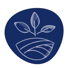 Fast Delivery Commitment